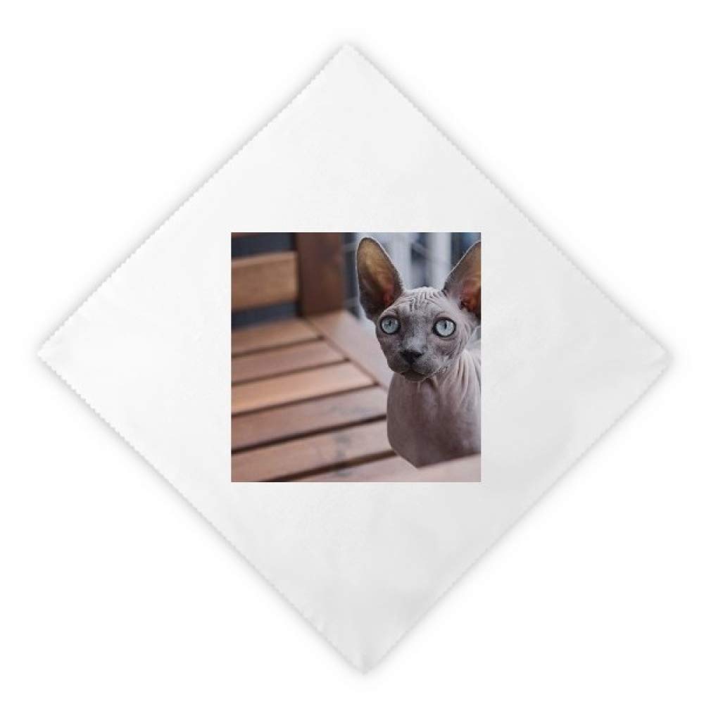 Serviette en tissu chat grand oreille lot de 2 essuie-mains de table lavable multicolore