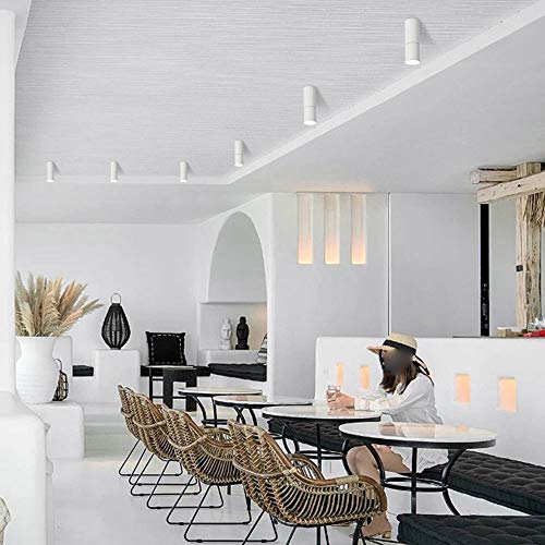 Lámpara de techo LED ajustable de superficie de aluminio blanco 5
