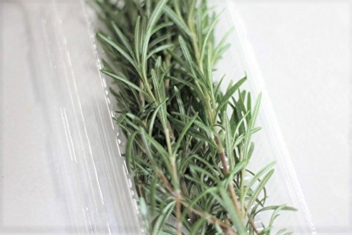 Amazon.co.jp: ローズマリー フレッシュハーブ 生 20g 生産者指定 田澤