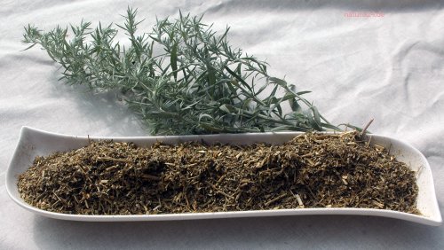 Artemisia absinthium 1 Kg