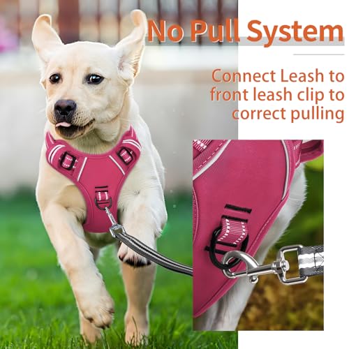 Image of HEELE Dog Harness for Large Dogs No Pull Dog Vest Harness for Large Dog with Soft Padded Handle Reflective for Outdoor Training, Rose(Matching Trim), L