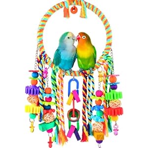 KATUMO Bird Toys, Bird Swing Toy Bird Perch with Colorful Chewing Toys, Suitable for Lovebirds, Finches, Parakeets, Budgerigars, Conure ect Small Birds