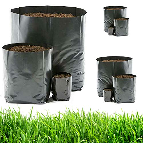Image of Agritech Black Nursery Cover /Plant Grow Bag - 25 Nos (12x13, 25)