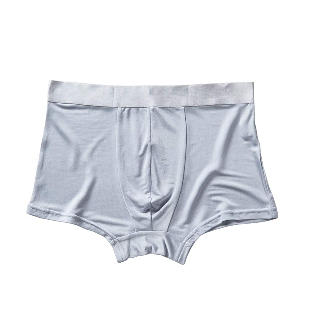 Lsharon Silk Men's Silver 100% Mulberry Silk Boxer Underwear Briefs Panties (, M)