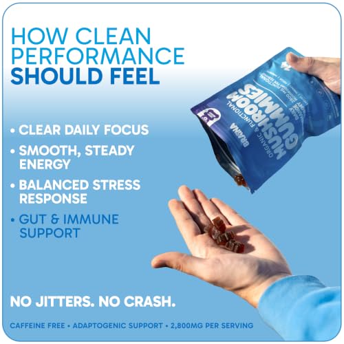 Braina Mushroom Gummies For Focus And Energy
