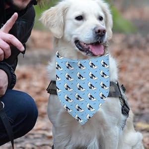 Fathers-Day-Dog-Bandanas-Reversible-Daddys-Boy-Pet-Scarf-for-Boy-Dogs-Dual-Layer-Design-2-Pack-Love-Daddy-Holiday-Puppy-Dog-Kerchief-Gifts - Cucciolini Doodles   Fathers-Day-Dog-Bandanas-Reversible-Daddys-Boy-Pet-Scarf-for-Boy-Dogs-Dual-Layer-Design-2-Pack-Love-Daddy-Holiday-Puppy-Dog-Kerchief-Gifts
