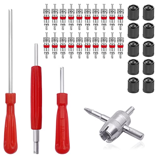 34PCS Tire Valve Stem Tool Installer Kit, 10pcs Valve Caps ...