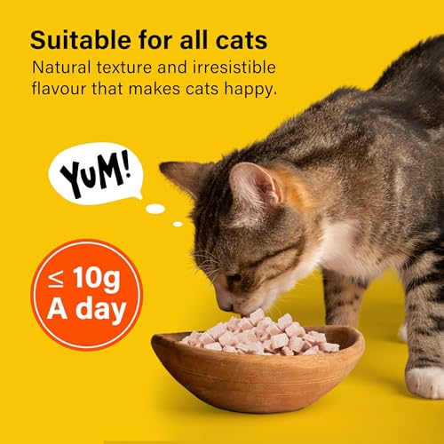 1 lb Freeze Dried Chicken Breast Cat Treats 100% Natural Chicken Nibbles Allergen-Free & Hypoallergenic for Indoor Cats & Outdoor Nutritious Grain Free for Cats 454g - Image 4