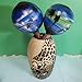 Coconut Maracas Shaker Rattles Hand Painted Percussion Instruments Set of 2 (Dolphin Painted)