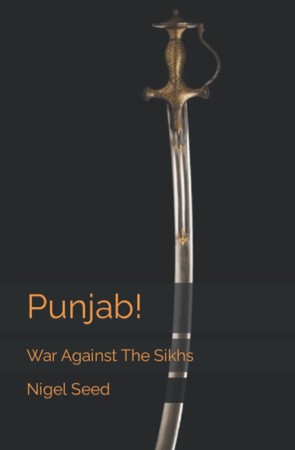 Punjab!: War Against the Sikhs: 1 (The Thomas Mason Trilogy)