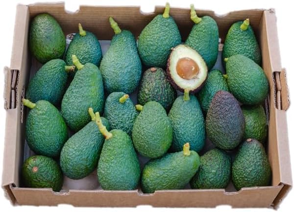 Vitalem – Kiste mit frischen Avocados 4kg (12-24 Stück) | Saisonale Hass-Avocados | Natürliche, ökologische Früchte | Ideal für Toasts, Salate und Guacamole | Direkt vom lokalen Landwirt
