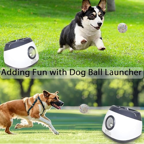 PcvGef 3 Stück Hundeball, Unzerstörbarer Ball Für Hunde, Hund Ball, Spielball Hund, Dauerhaftes Hundespielzeug Tennisbälle, Ideal Für Outdoor Spielen, Schwimmen Und Training