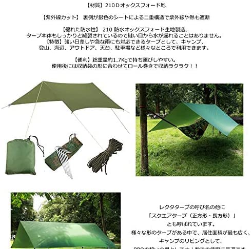 FLYING TENT社のタープ　緑色 FLYING TENT社のタープ 緑色