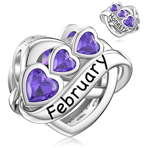 LANBEIDE February Birthstone Sterling Silver Charms Cover