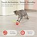 Potaroma Moving Ball Cat Toys with Feather Tail, Rechargeable 2025 New Interactive Toy for Indoor Cats Exercise, Smart Interactive Kitten Rolling Ball, Orange