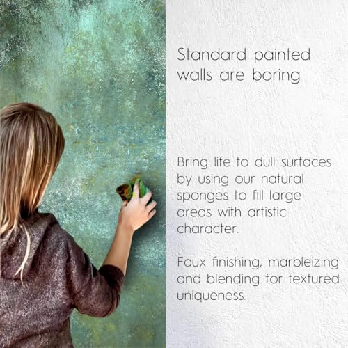 image for NAROA Natural Artist Sea Sponges for Painting 2 Pack | Large Art Tools