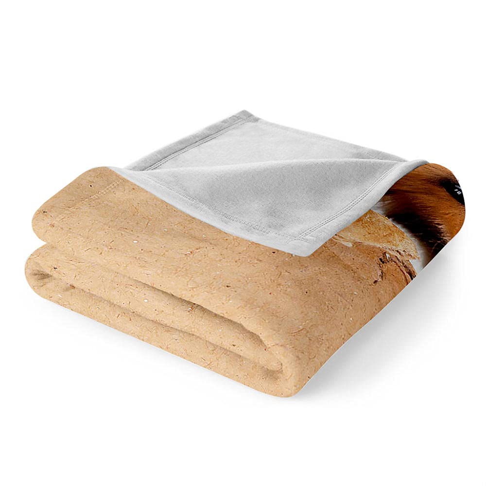 ★毛布ブランケット★ Amazon｜WJYMJJ 毛布 ハムスター ブランケット エアコン対策 敷き毛布