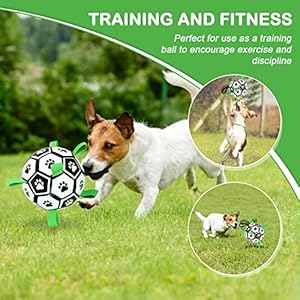 Dog Toys Soccer Ball with Straps 6 World Cup Interactive Dogs Toys for Tug of War Yard Game Water Toy Herding Ball for Dogs Small  Medium Puppy Birthday Gifts Outdoor Jolly Ball Boredom Buster  Cucciolini Doodles Dog toys soccer ball with straps 6 world cup interactive dogs toys for tug of war yard game water toy herding ball for dogs small  medium puppy birthday gifts outdoor jolly ball boredom buster   cucciolini doodles