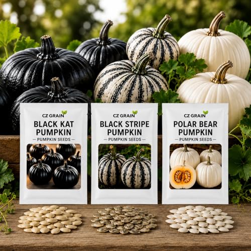 CZ Grain Farmhouse Decor Pumpkin Seed Collection | Black Kat Black Stripe & Polar Bear Heirloom Pumpkins | 30 Total Seeds (10 Each Variety) | Non-GMO Pumpkin Seeds for Planting