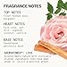 Pacifica Hair Perfume & Body Fragrance Spray Mist - Dream Moon with Bergamot, Pear, Pink Rose, Coconut, Vanilla, Sandalwood & Patchouli – Alcohol-Free, Vegan & Cruelty-Free, 5 oz (1 Count)