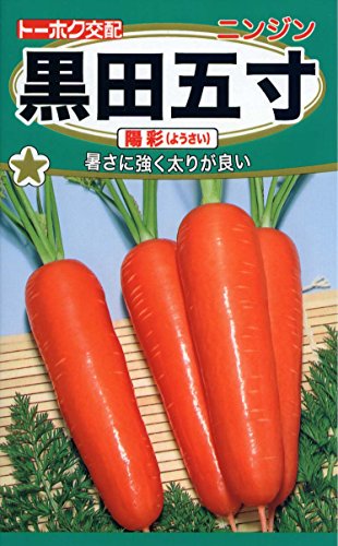 Ѓg[zN jW cܐ z 02561