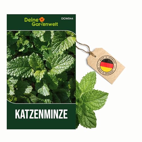 Katzenminze Samen - Nepeta cataria - Katzenminzesamen - Kräutersamen - Saatgut für 500 Pflanzen
