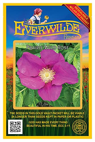 Everwilde Farms - 60 Prairie Wild Rose Native Wildflower Seeds - Gold Vault Seed Packet
