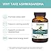 Himalaya Organic Ashwagandha Root, 120 Day Supply - Herbal Adrenal Support Supplements for Stress Relief and Energy Support - USDA Organic, Non-GMO, Vegan, Gluten Free, 670 mg, 120 Caplets