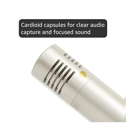Amazon.com: SAMSON C02 Pencil Condenser Microphones : Samson Audio