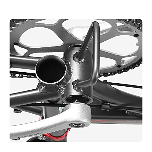 DODOBD Klapprad in 20 Zoll, Fahrrad für Erwachsene, Faltrad mit Variabler Geschwindigkeit Stadtrad, Fahrrad Mit Variabler Geschwindigkeit, Geeignet FüR Das Fahren Im Freien – Bild 8