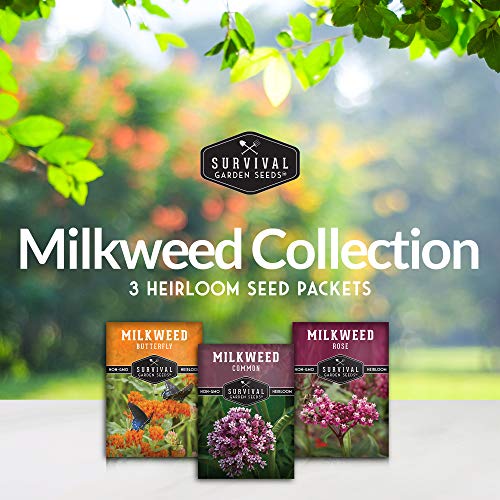 Survival Garden Seeds Milkweed Collection Seed Vault - Butterfly Milkweed, Common Milkweed & Rose (Swamp) Milkweed For Monarchs - Non-Gmo Heirloom Seeds For Planting & Growing In A Pollinator Garden #TOP1