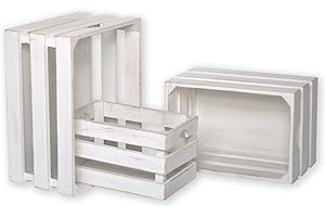 Vintage Decorative White Wooden Crate (Set of 3)