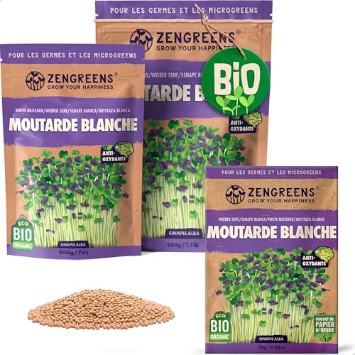 ZenGreens® - Graines de moutarde blanche bio - Choisissez entre 10g, 200g et 500g - Graines de moutarde blanche avec un taux de germination supérieur à 97% -...