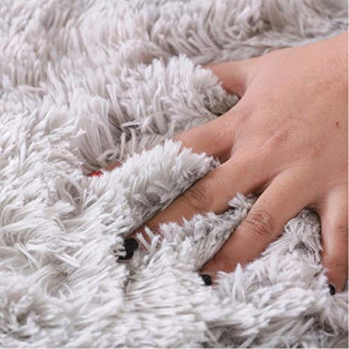 Soft Modern Indoor Shaggy 4X5.3 Rug For Bedroom Livingroom Dorm Kids Room Home Decorative, Non-Slip Plush Fluffy Furry Fur Area Rugs Comfy Nursery Accent Floor Carpet Coffee #TOP4