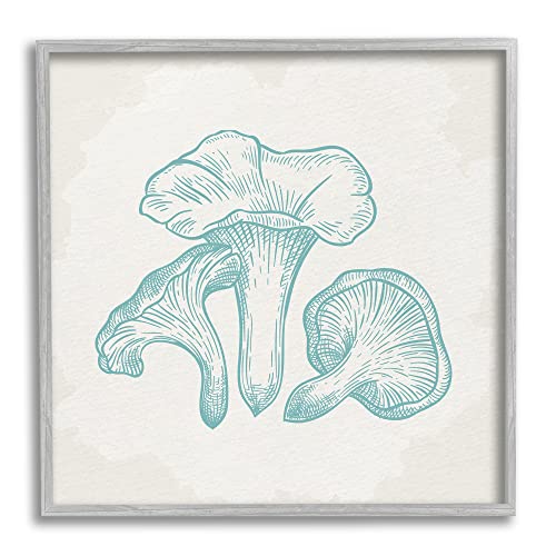 Image of Detailed Mushroom Botanical Specimen, 12 x 12 Inch Framed Giclee Print | Stupell Industries . By Kim Allen . Ready to hang . Cottagecore nature decor . Made in USA