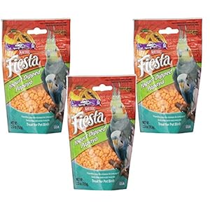 (3 Pack) Kaytee Fiesta Mango Flavored Yogurt Dipped Papaya Bird Treat, 2.5 Ounce each