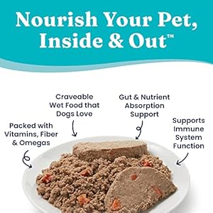Strong Gold Canned Canine Meals for Grownup & Senior Canines – Nutrientboost Hund-N-Flocken Made with Actual Lamb and Wholesome Complete Grains – Excessive Calorie, Excessive Protein Moist Canine Meals – 6ct/12.5oz Cans