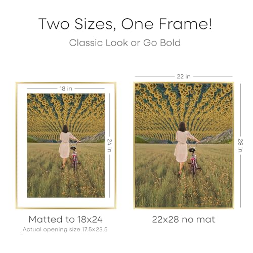 Image of Homeforia 22x28 Picture Frame Gold, High End Metal 22 x 28 Large Poster Frames with Mat 18 by 24 for Photo, 22x28 Gold Frame Matted to 18x24 inch Print, 28x22 Frame, Tempered Glass, Wall Kit, Set of 2