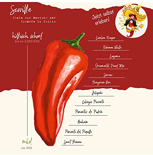 VALEAF Chili zaden set - 12 scherpe tot milde zaden van chilipepers van de hoogste kwaliteit - van Carolina Reaper zaden… - Afbeelding 6