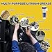 White Lithium Grease, Multi-Purpose Lubricant Lithium Grease Tube with Brush, Garage Door Lubricant for Hinges, Bearings, Gears,Track Rail, Ideal for Marine, Automotive, Industrial