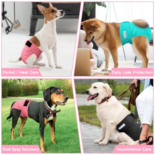 Image of Paw Legend Washable Reusable Female Dog Period Diapers for Heat Doggie Puppy Diapers for Female Dogs (3 Pack,X-Large)
