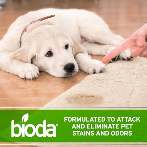 Image of Bioda Probiotic Enzyme Cleaner & Deodorizer, Professional Strength, 4 Pack | Enzyme Cleaner, Trash Can Deodorizer, Pet Stains and Odors, Drains, Floors, Bathrooms, Toilets, Made in USA, 1 Gal, 4 Pack