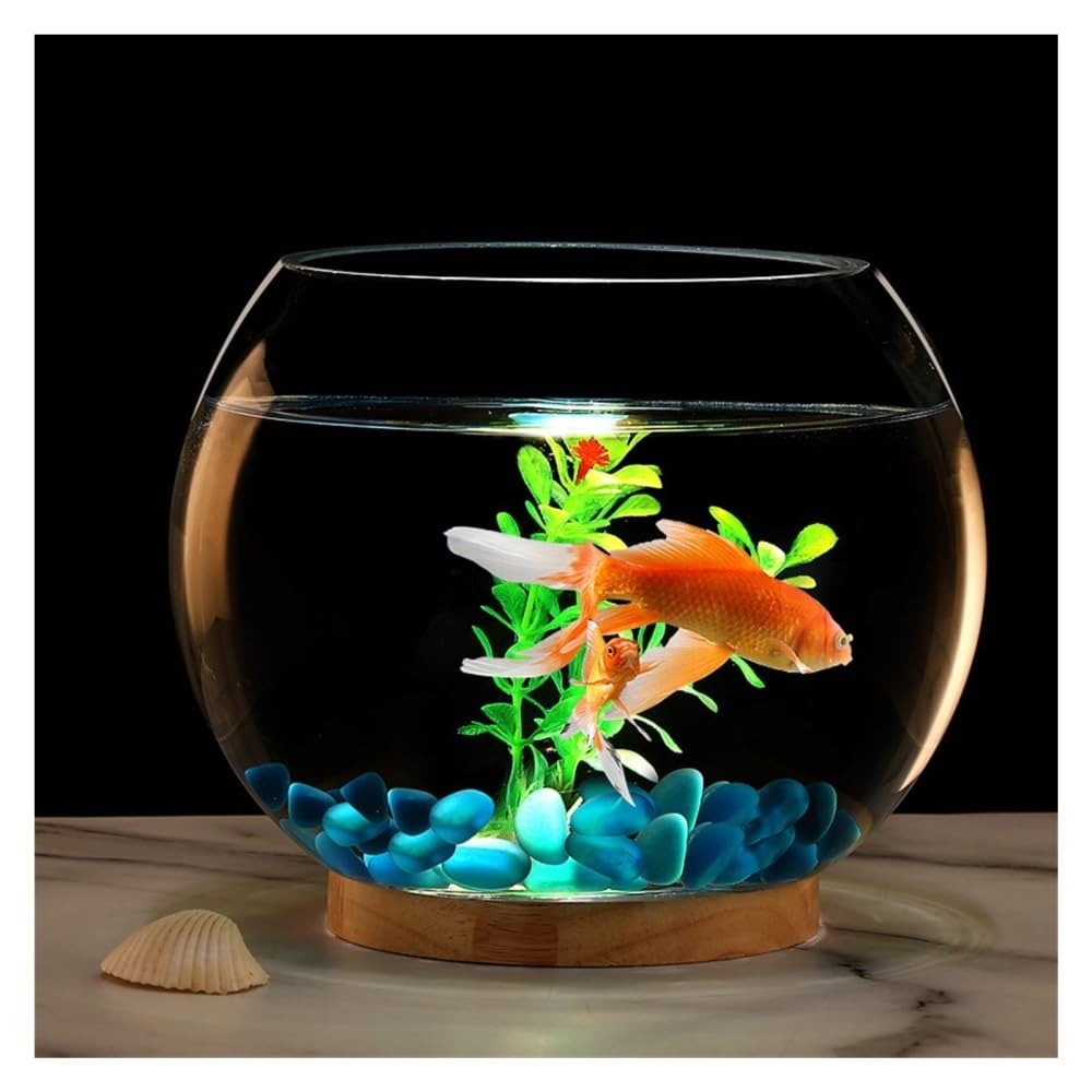 Aquarium Rundes, verdicktes, transparentes Glas-Aquarium for den Schreibtisch, rund, Goldfisch-Aquarium, dekoratives Wohnzimmer-Ornament(30cm)