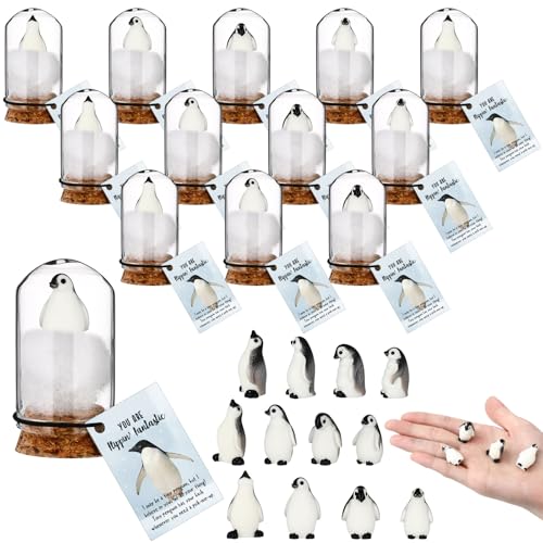 Seenelling 24�Z�b�g �N���X�}�X ����I�ȃy���M���M�t�g �����ւ̏]�ƈ��ւ̊��ӂ̃M�t�g �|�P�b�g�n�O �|�W�e�B�u�y���M���ƃC���X�s���[�V�����J�[�h �N���X�}�X �~ �p�[�e�B�[ �X�^�b�t�⓯���ւ̋L�O�i