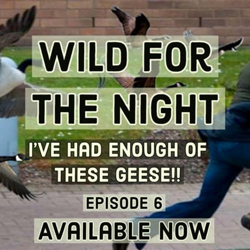 『6. I've Had Enough Of These Geese!!』のカバーアート