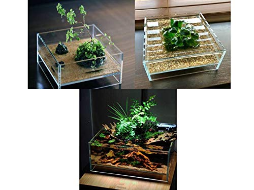 Amazon | HIRO Aquatics ミディアムシャローリムレスタンク