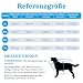 WUFANC Hunderegenmantel, Regenmantel Hund Wasserdicht mit Transparenter Kapuze, Regenjacke Hund mit Reflektierende Elemente, Verstellbarer Hals und Bauch, für Große, Mittelgroße und Kleine Hunde