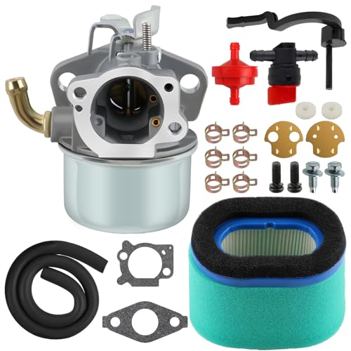 BenTsD compatible con carburador 698475 para motocultor 698479 693518 591925 con filtro de aire y manguera de combustible