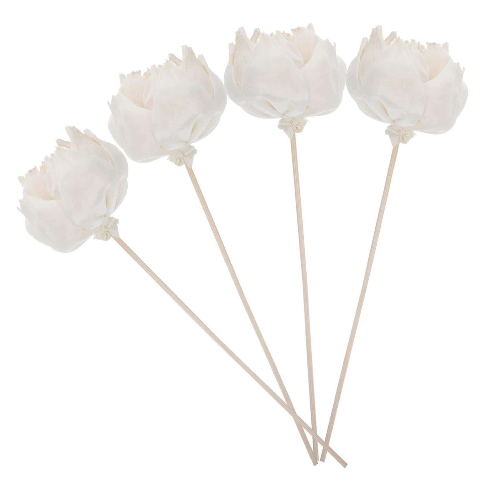 12pièces Fleurs Séchées Naturelles pour Diffuseur Huiles Essentielles Accessoires Aromathérapie avec De Couleur Naturelle
