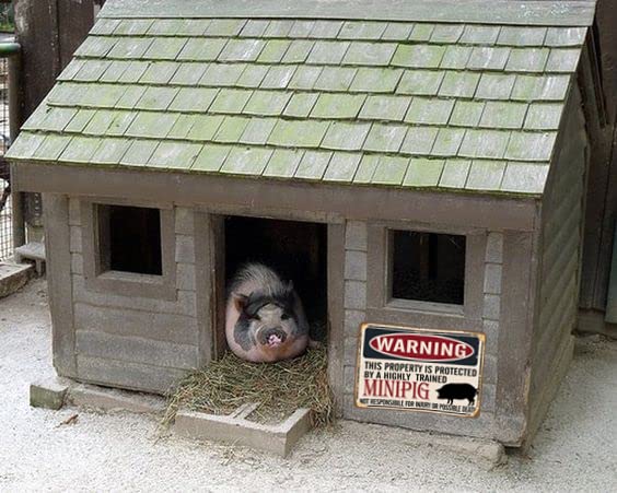 Letrero De Metal Vintage Con Texto En Inglés "Warning Property Is Protected By An Rottweiler", Letrero De Hojalata Para Cafetería, Bar, Jardín, Hogar, Baño, Decoración Artística, Divertido, 8 X 12 Pulgadas